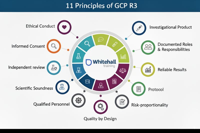 New Course Launch: ICH GCP (E6 R3) Refresher Course